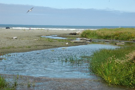 oceancitybeach