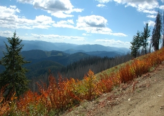 orange view