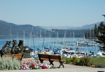 McCall